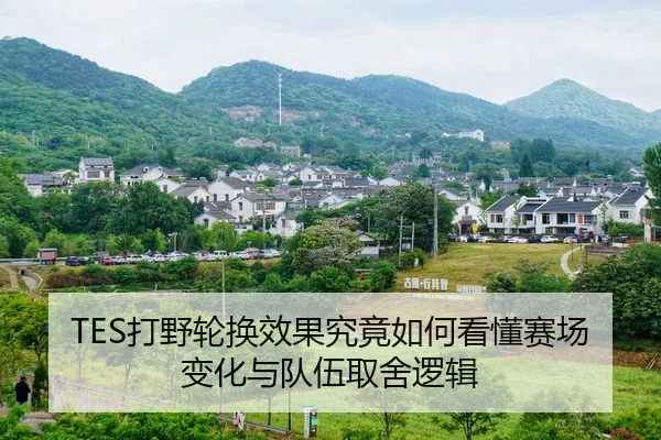 TES打野轮换效果究竟如何看懂赛场变化与队伍取舍逻辑